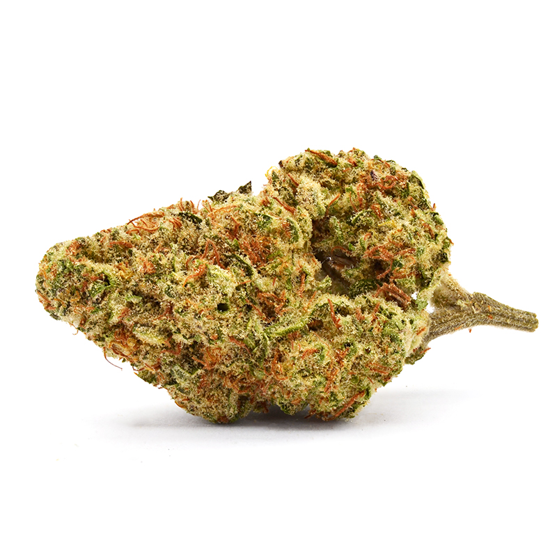 Premium Papaya Punch THCa flower buds showcasing dense, trichome-rich cannabis for wholesale bulk THCa distribution